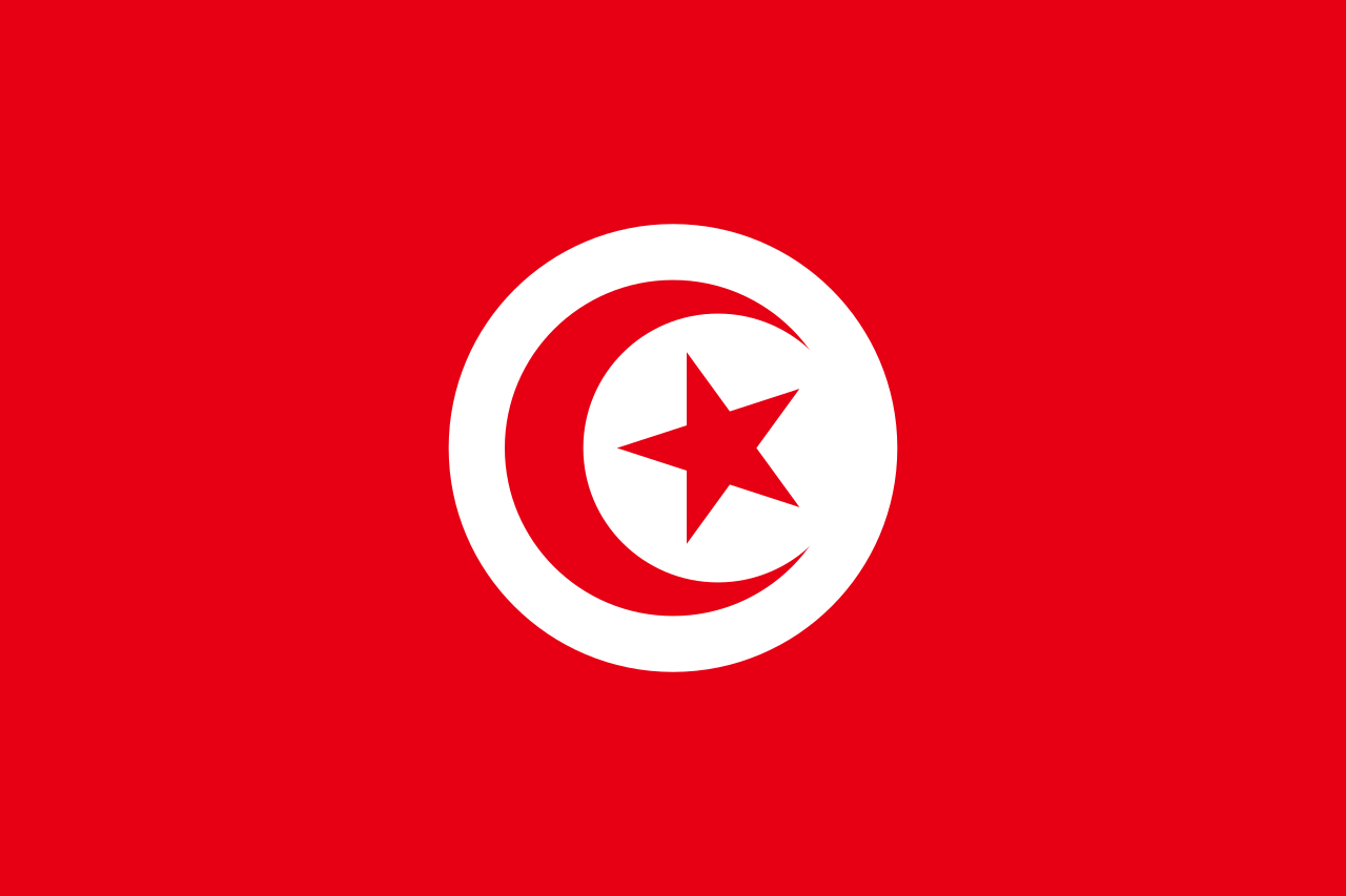 Đội tuyển Tunisia