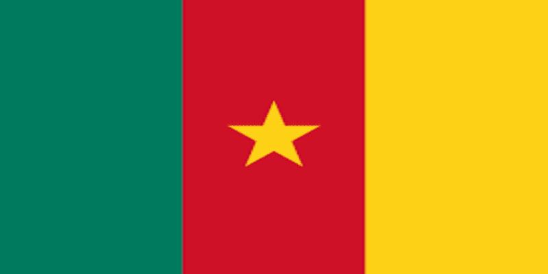 Đội tuyển Cameroon